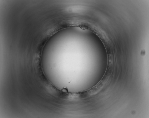 X0000102850369200808251208