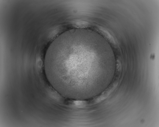 X0000102850371200808251208