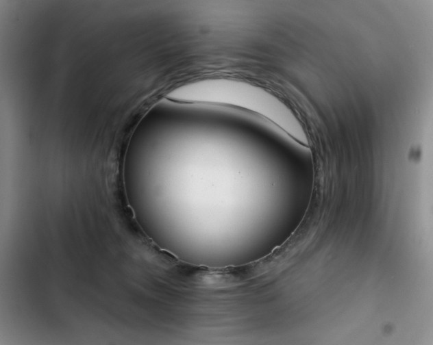X0000102850372200808251208