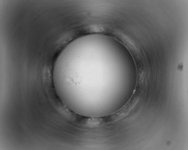 X0000102850373200808251208