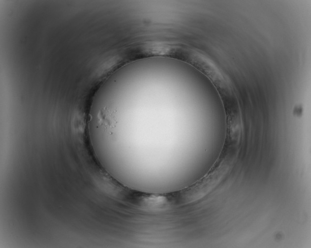 X0000102850374200808251208