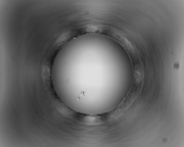 X0000102850375200808251208