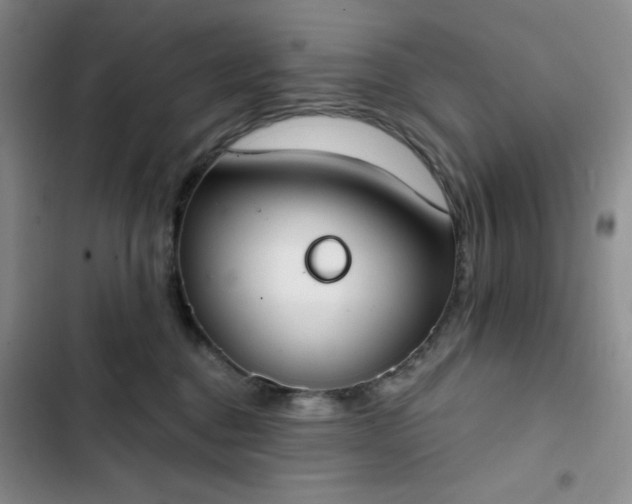 X0000102850376200808251208
