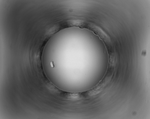 X0000102850377200808251208