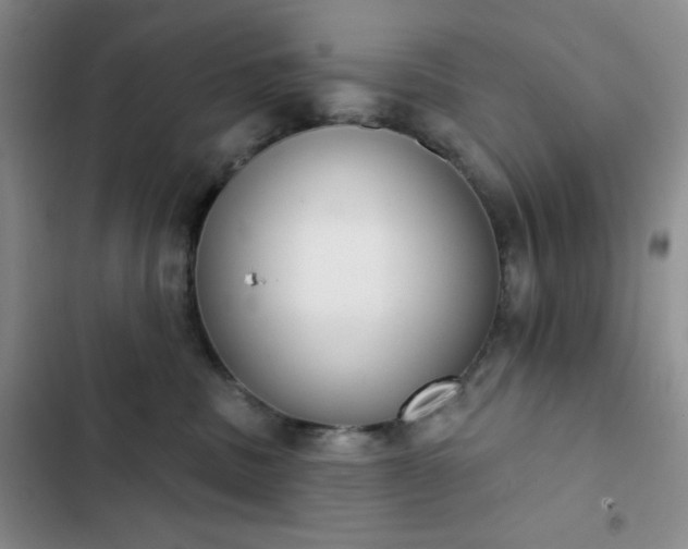 X0000102850379200808251208