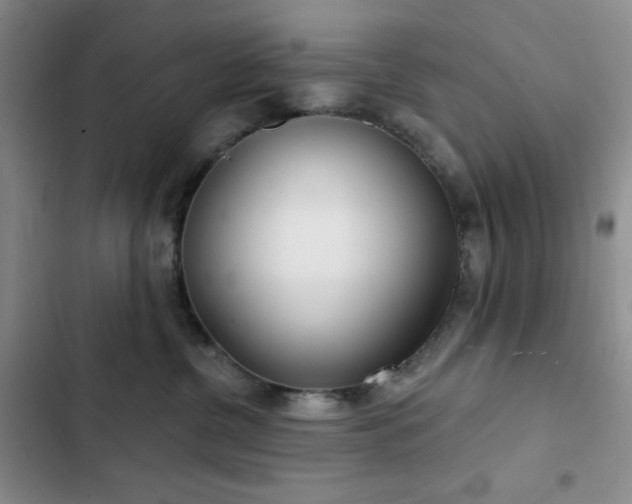 X0000102850380200808251208