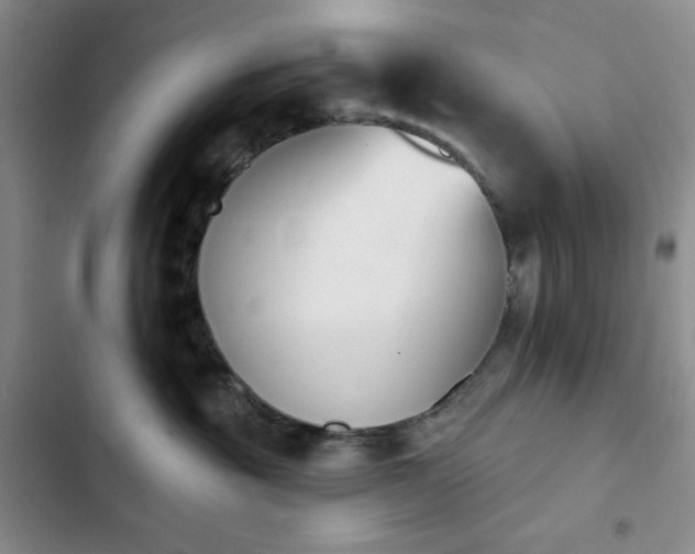 X0000102850381200808251208