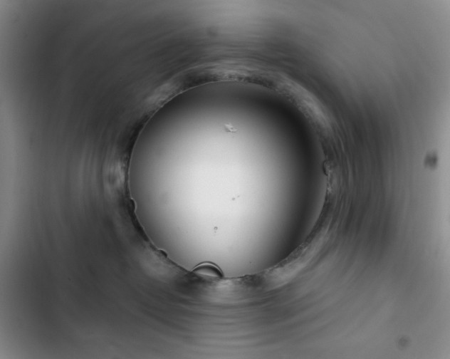 X0000102850382200808251208