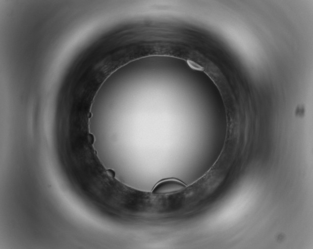 X0000102850383200808251208