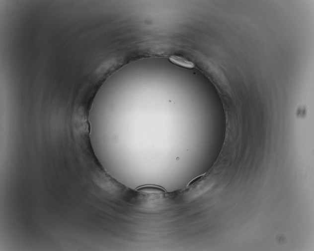 X0000102850384200808251208