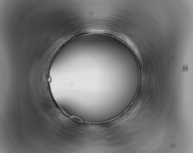 X0000102850385200808251207