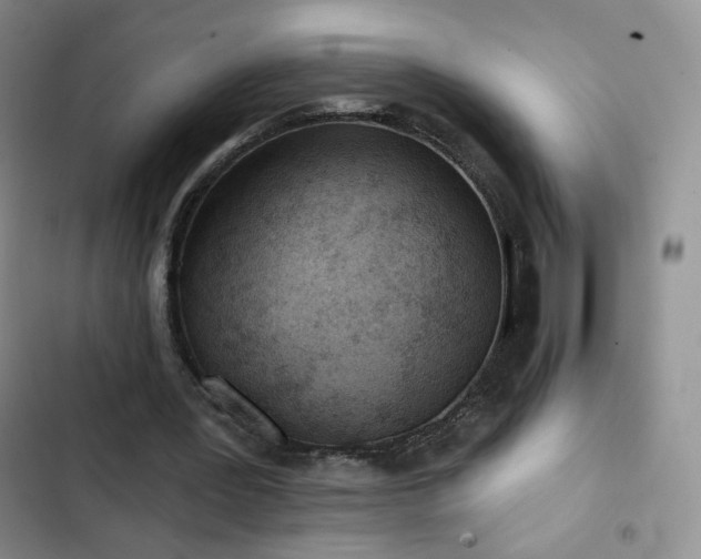 X0000102850387200808251207