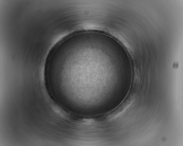 X0000102850391200808251207