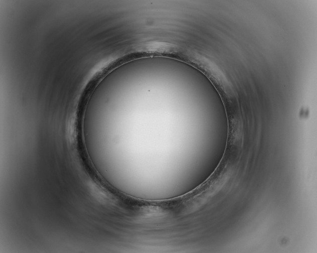 X0000102850392200808251207