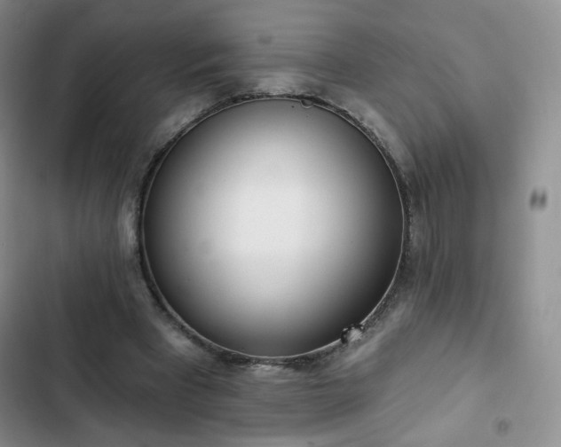 X0000102850393200808251207