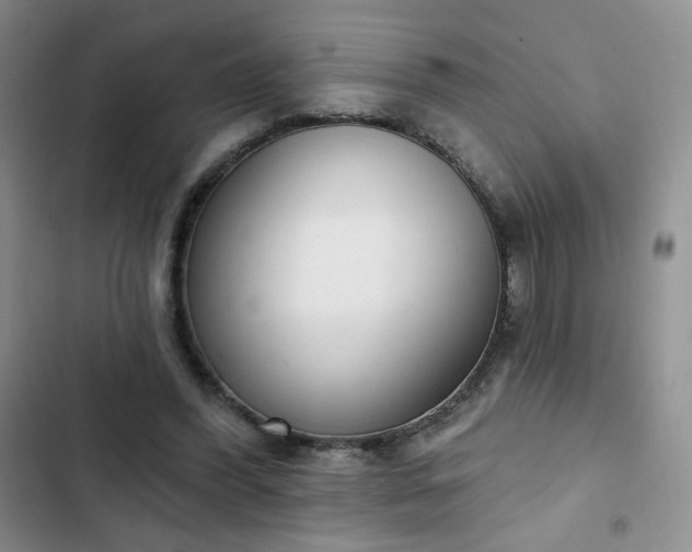 X0000102850396200808251207