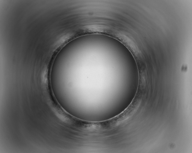 X0000102850398200808251207