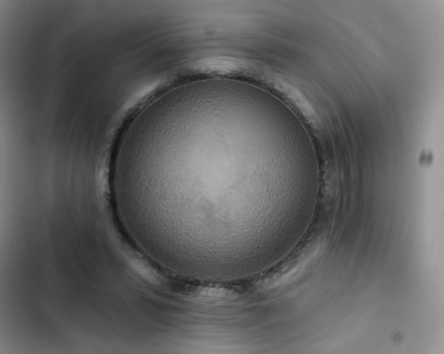 X0000102850399200808251207