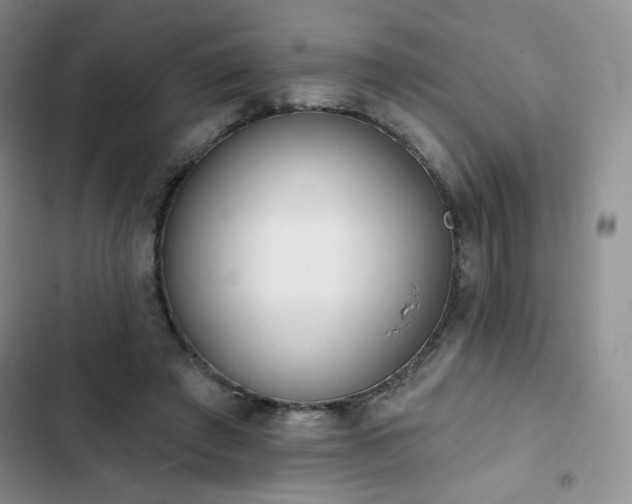 X0000102850401200808251207