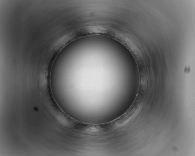 X0000102850402200808251207