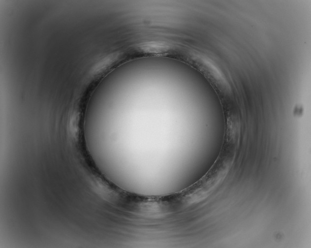 X0000102850404200808251207