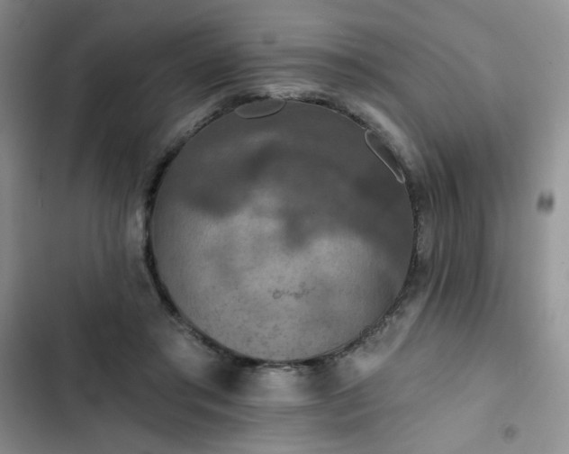 X0000102850405200808251207