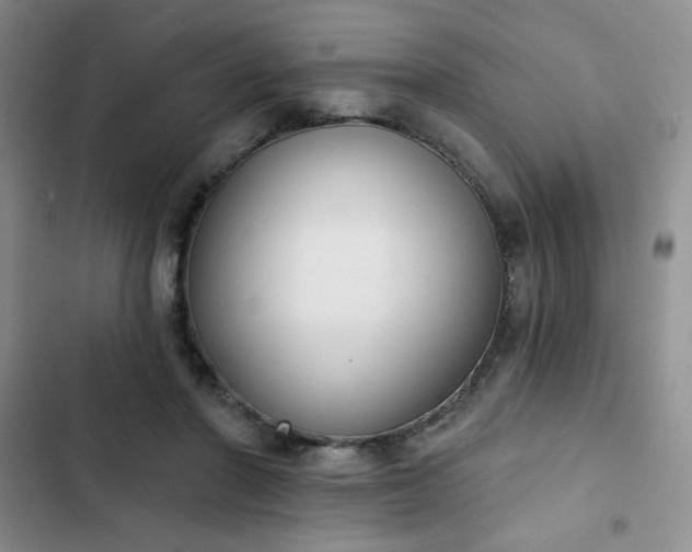 X0000102850406200808251207