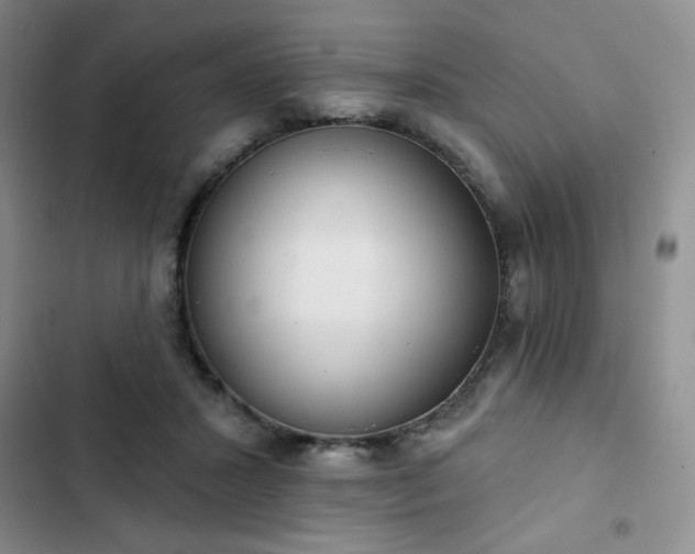 X0000102850407200808251207