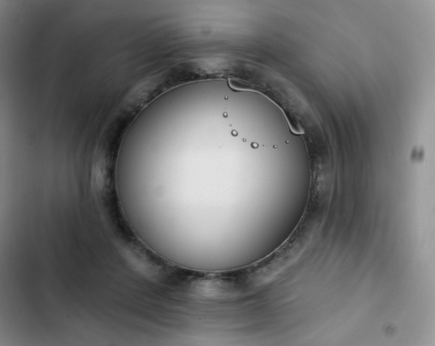 X0000102850408200808251207