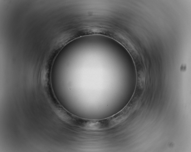 X0000102850410200808251207
