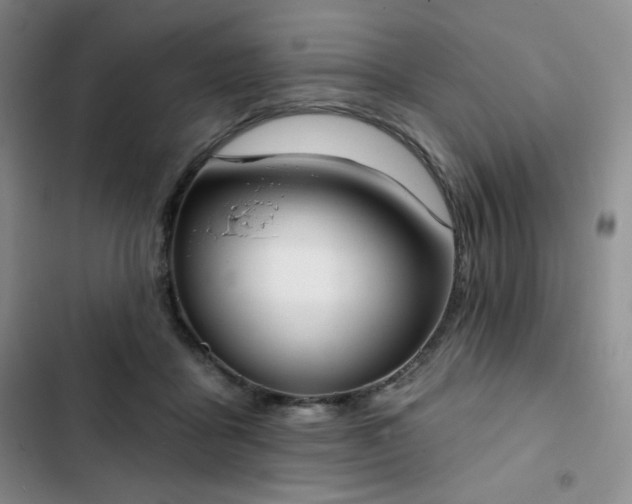 X0000102850411200808251207
