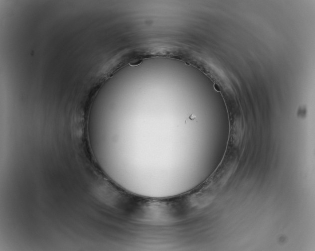 X0000102850413200808251207