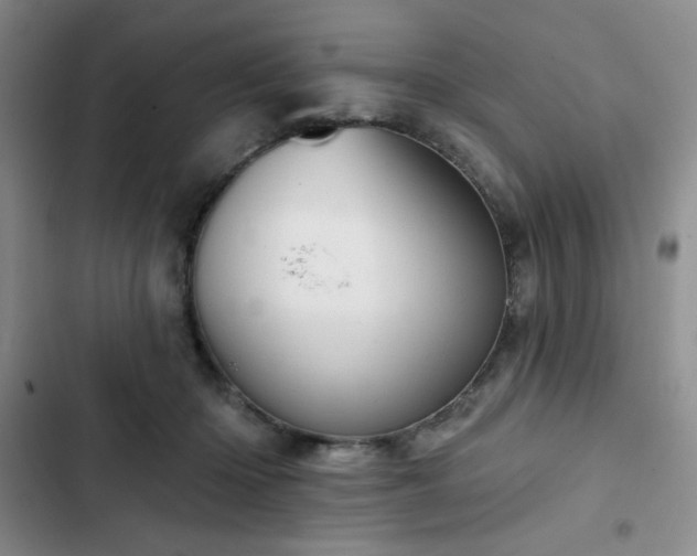 X0000102850414200808251207