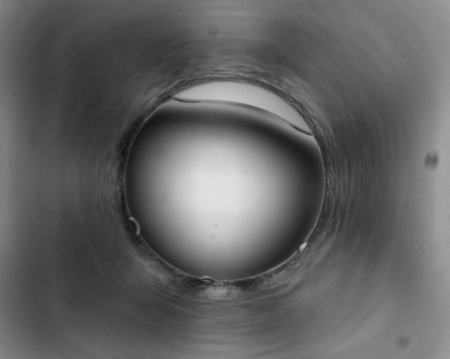X0000102850415200808251207
