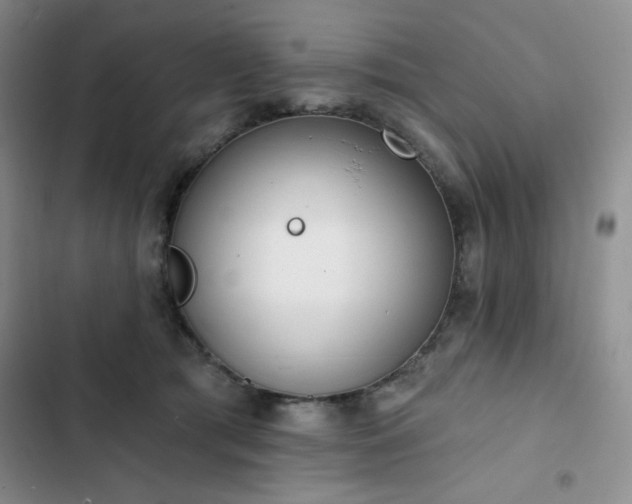 X0000102850417200808251207
