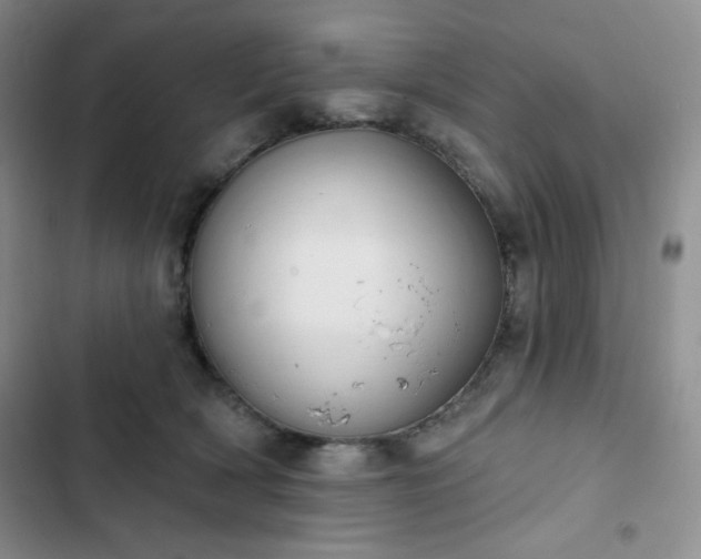 X0000102850418200808251207