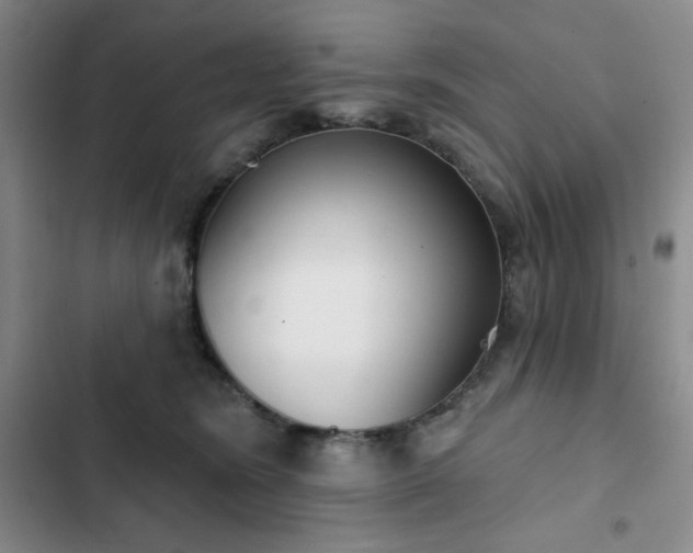 X0000102850420200808251207