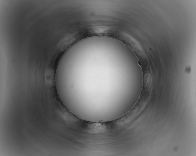 X0000102850421200808251207