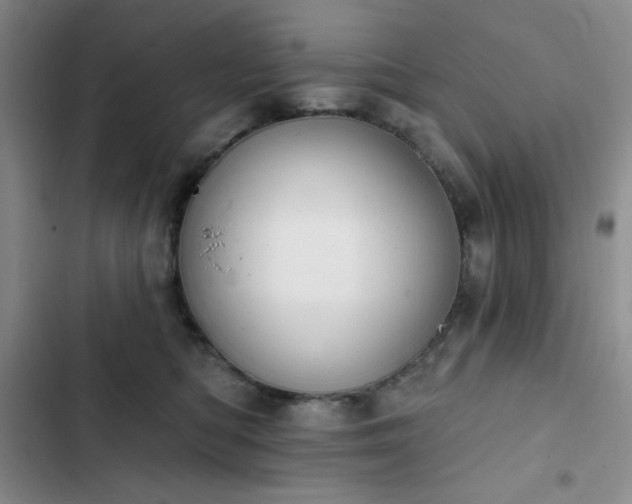 X0000102850422200808251207