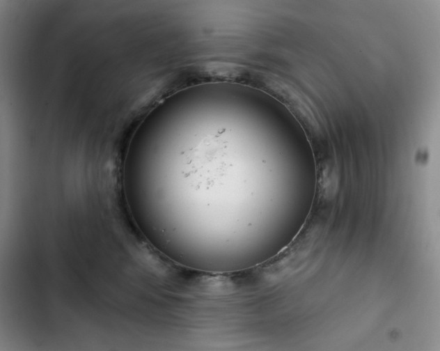 X0000102850424200808251207