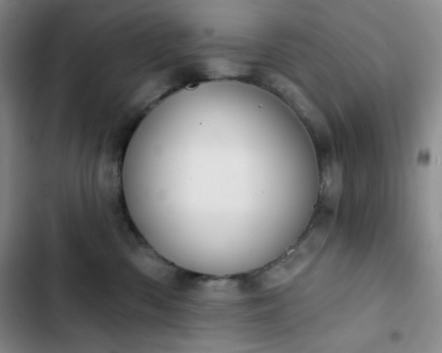 X0000102850426200808251207