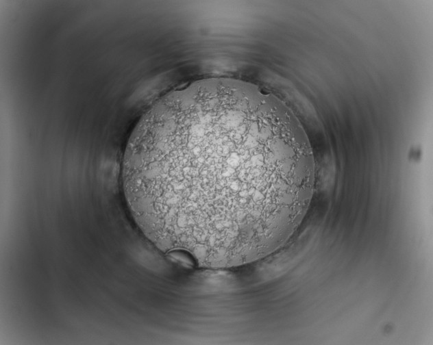 X0000102850427200808251207