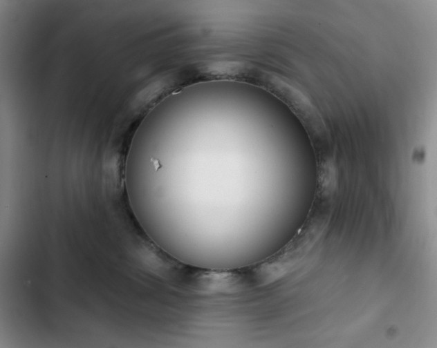 X0000102850428200808251207