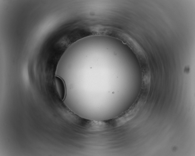 X0000102850429200808251207