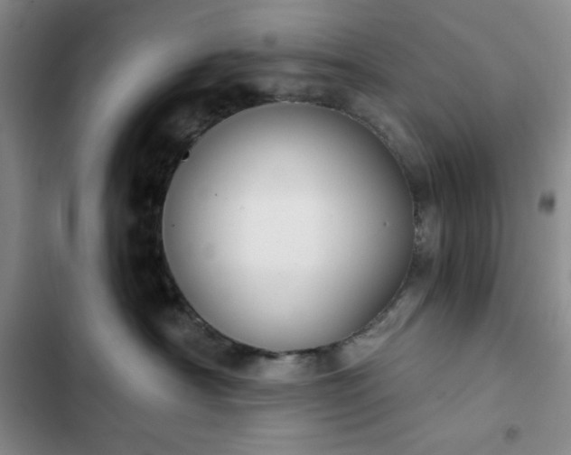 X0000102850430200808251207