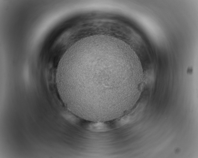 X0000102850431200808251207