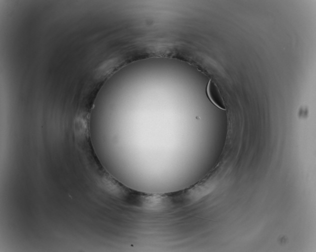 X0000102850432200808251207