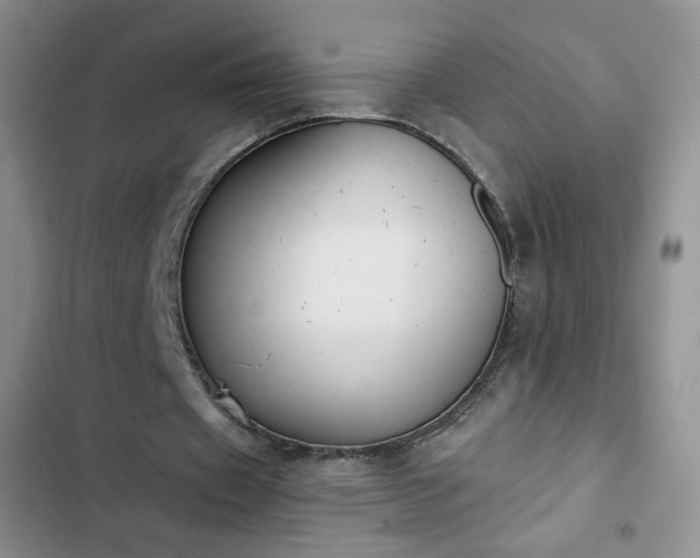 X0000102850433200808251206