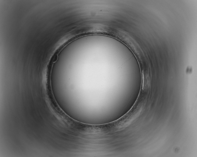 X0000102850435200808251206
