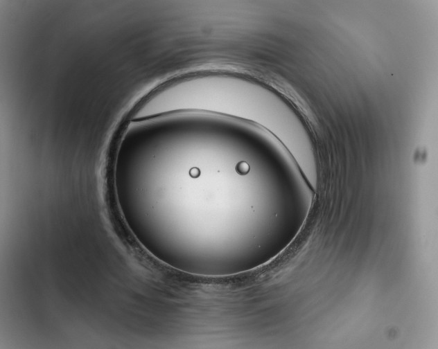 X0000102850436200808251206